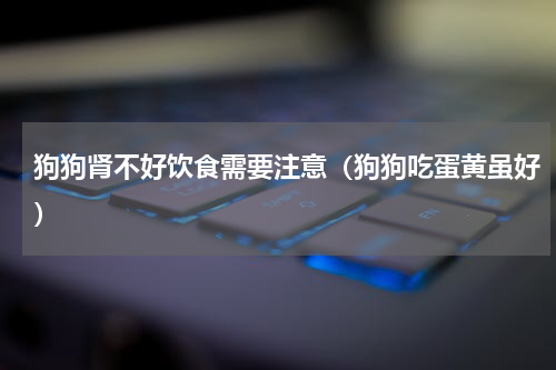 狗狗肾不好饮食需要注意（狗狗吃蛋黄虽好）