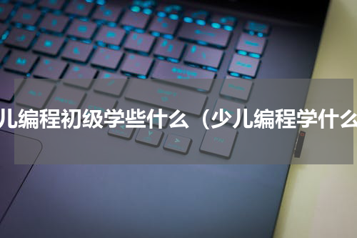 少儿编程初级学些什么（少儿编程学什么）