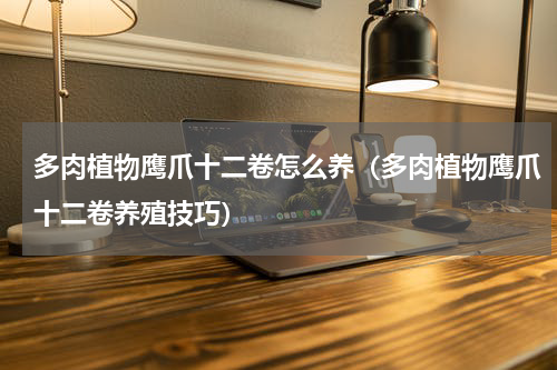 多肉植物鹰爪十二卷怎么养（多肉植物鹰爪十二卷养殖技巧）