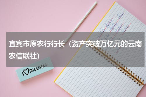 宜宾市原农行行长（资产突破万亿元的云南农信联社）