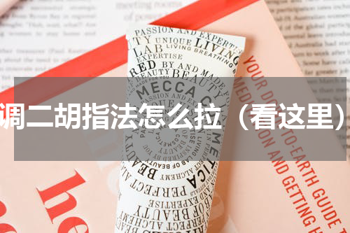 C调二胡指法怎么拉（看这里）