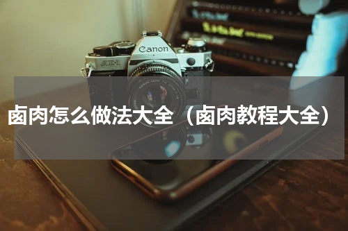 卥肉怎么做法大全（卥肉教程大全）