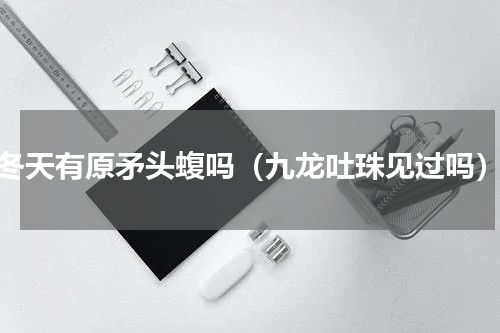 冬天有原矛头蝮吗（九龙吐珠见过吗）