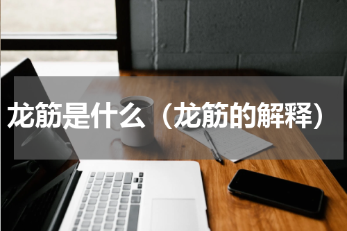 龙筋是什么（龙筋的解释）