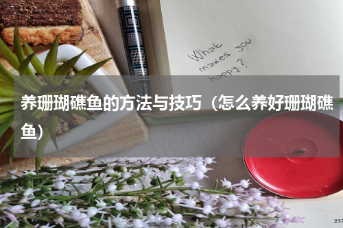 养珊瑚礁鱼的方法与技巧（怎么养好珊瑚礁鱼）