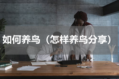 如何养鸟（怎样养鸟分享）
