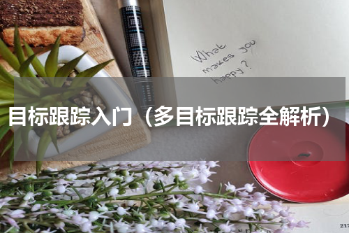 目标跟踪入门（多目标跟踪全解析）