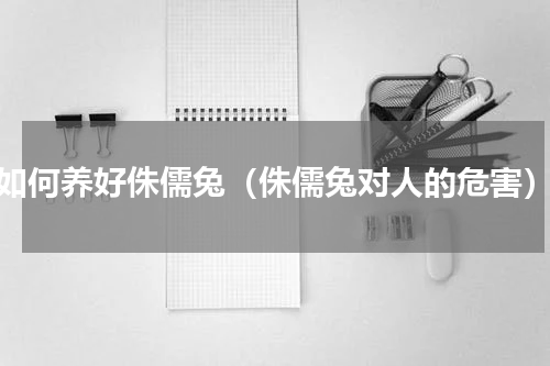 如何养好侏儒兔（侏儒兔对人的危害）