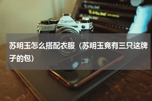 苏明玉怎么搭配衣服（苏明玉竟有三只这牌子的包）