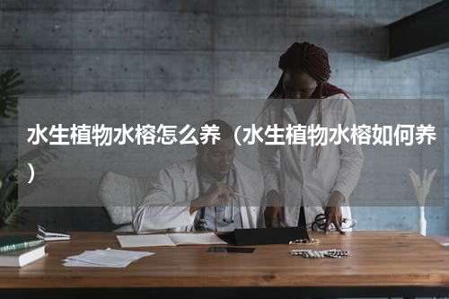 水生植物水榕怎么养（水生植物水榕如何养）