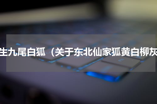 野生九尾白狐（关于东北仙家狐黄白柳灰）