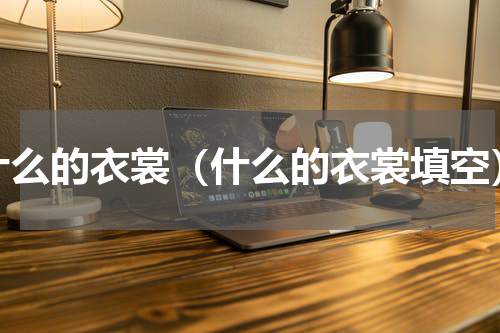 什么的衣裳（什么的衣裳填空）