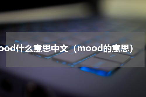 mood什么意思中文（mood的意思）