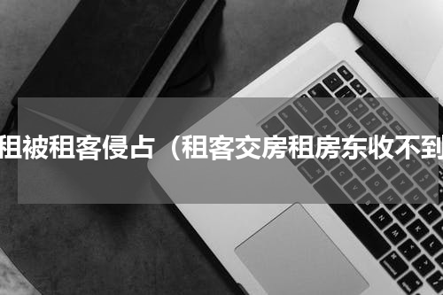 房租被租客侵占（租客交房租房东收不到）