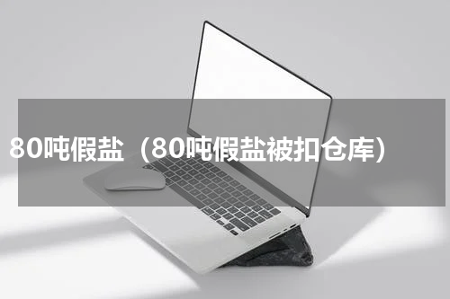 80吨假盐（80吨假盐被扣仓库）