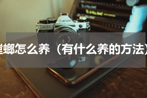 螳螂怎么养（有什么养的方法）