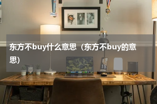 东方不buy什么意思（东方不buy的意思）