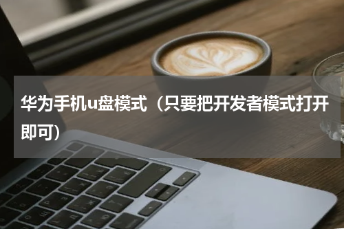 华为手机u盘模式（只要把开发者模式打开即可）