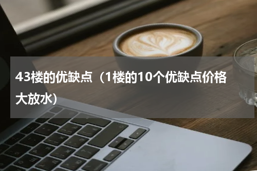 43楼的优缺点（1楼的10个优缺点价格大放水）