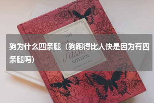 狗为什么四条腿（狗跑得比人快是因为有四条腿吗）