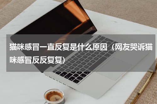 猫咪感冒一直反复是什么原因（网友哭诉猫咪感冒反反复复）