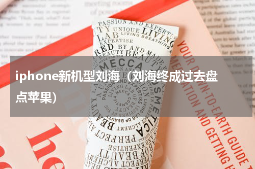 iphone新机型刘海（刘海终成过去盘点苹果）