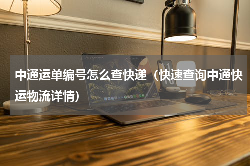 中通运单编号怎么查快递（快速查询中通快运物流详情）