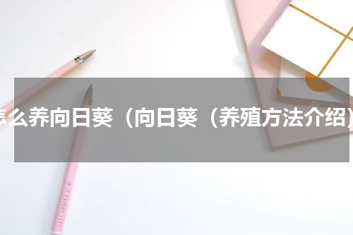怎么养向日葵（向日葵（养殖方法介绍）