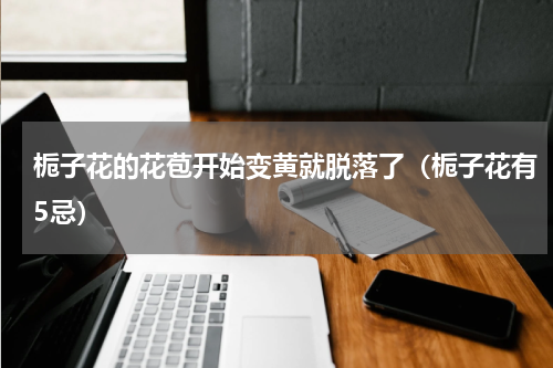 栀子花的花苞开始变黄就脱落了（栀子花有5忌）