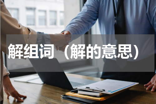 解组词（解的意思）