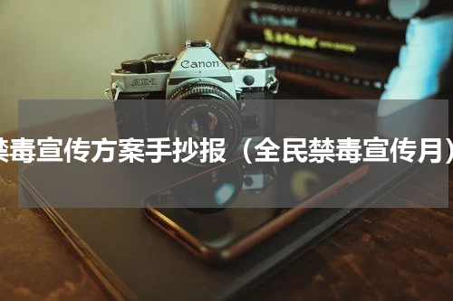 禁毒宣传方案手抄报（全民禁毒宣传月）