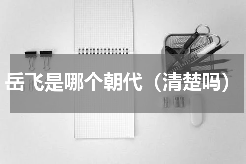 岳飞是哪个朝代（清楚吗）