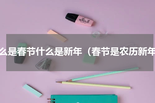 什么是春节什么是新年（春节是农历新年）
