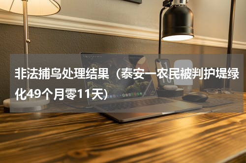非法捕鸟处理结果（泰安一农民被判护堤绿化49个月零11天）