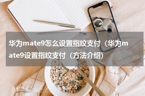 华为mate9怎么设置指纹支付（华为mate9设置指纹支付（方法介绍）