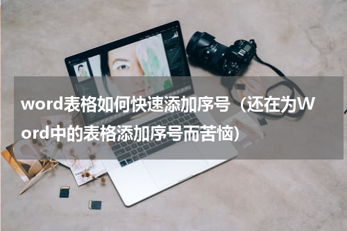 word表格如何快速添加序号（还在为Word中的表格添加序号而苦恼）