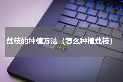 荔枝的种植方法（怎么种植荔枝）