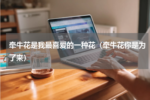 牵牛花是我最喜爱的一种花（牵牛花你是为了来）