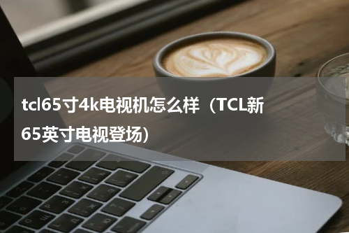 tcl65寸4k电视机怎么样（TCL新65英寸电视登场）