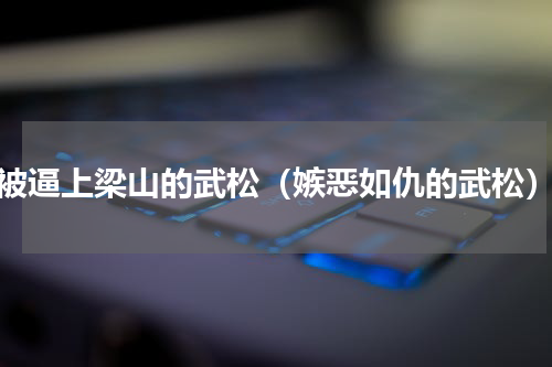 被逼上梁山的武松（嫉恶如仇的武松）