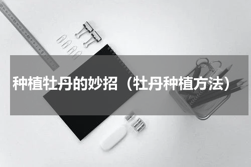 种植牡丹的妙招（牡丹种植方法）