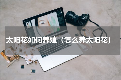 太阳花如何养殖（怎么养太阳花）