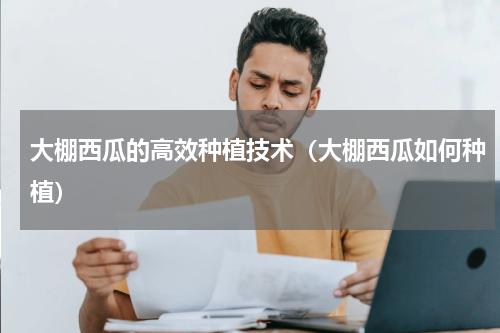 大棚西瓜的高效种植技术（大棚西瓜如何种植）