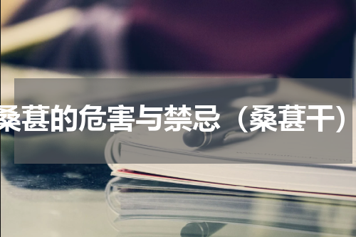 桑葚的危害与禁忌（桑葚干）
