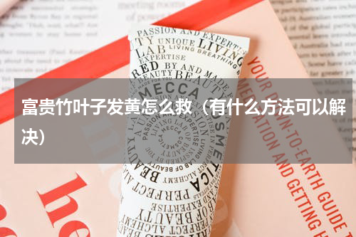 富贵竹叶子发黄怎么救（有什么方法可以解决）