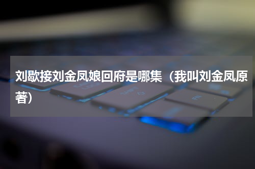 刘歇接刘金凤娘回府是哪集（我叫刘金凤原著）