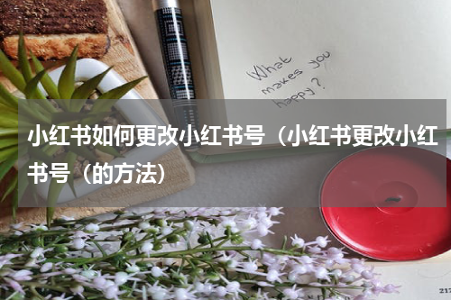 小红书如何更改小红书号（小红书更改小红书号（的方法）