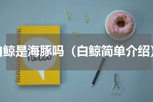 白鲸是海豚吗（白鲸简单介绍）