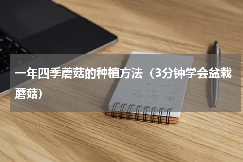 一年四季蘑菇的种植方法（3分钟学会盆栽蘑菇）