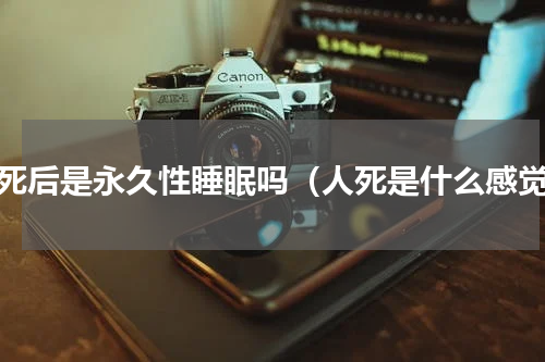 人死后是永久性睡眠吗（人死是什么感觉）